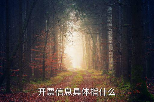 什么是開(kāi)票信息，word開(kāi)票信息是什么意思