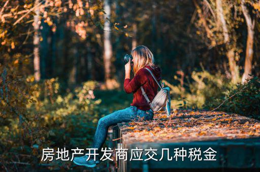 房地產(chǎn)公司交什么稅，房地產(chǎn)公司都要交什么稅