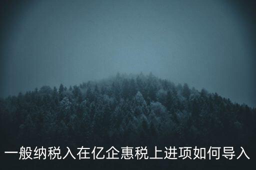 一般納稅入在億企惠稅上進(jìn)項如何導(dǎo)入