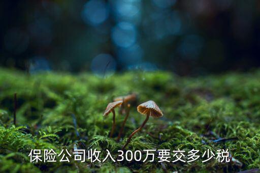 保險(xiǎn)公司收入300萬(wàn)要交多少稅