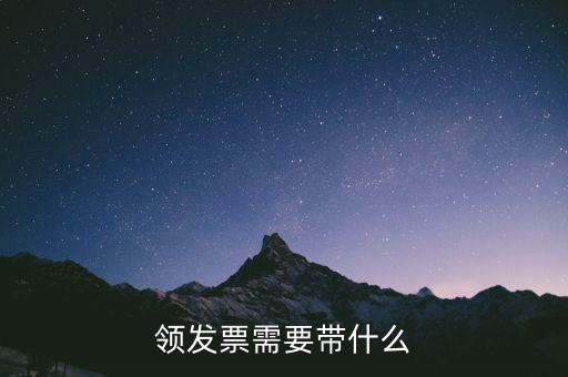 領發(fā)票需要帶什么