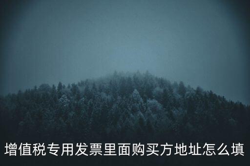 增值稅專用發(fā)票里面購買方地址怎么填