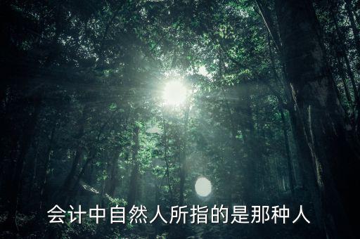 會(huì)計(jì)中自然人所指的是那種人