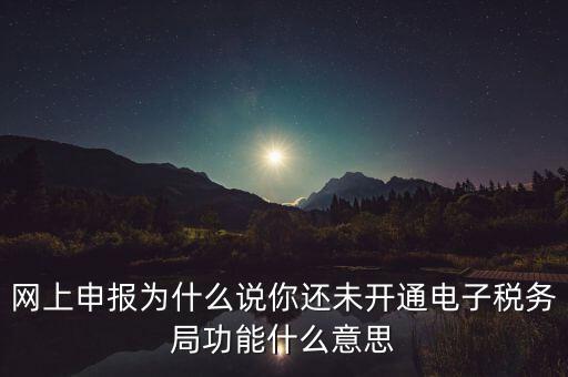 電子稅務(wù)局是干什么，企業(yè)金稅盤系統(tǒng)用來開票抄稅報稅用那登錄國稅地稅局網(wǎng)站是干嘛的