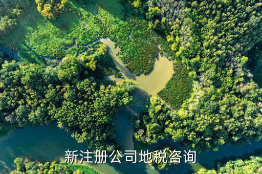 地稅有什么問(wèn)題可咨詢，新注冊(cè)公司地稅咨詢