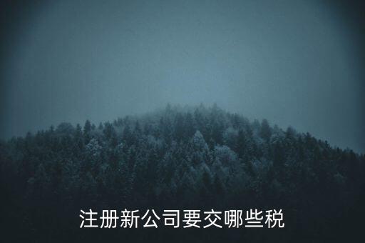 注冊(cè)新公司要交哪些稅