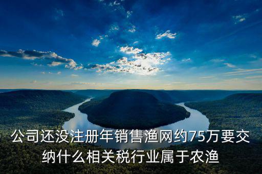 公司還沒注冊年銷售漁網(wǎng)約75萬要交納什么相關(guān)稅行業(yè)屬于農(nóng)漁