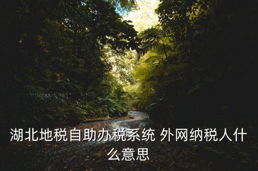 湖北地稅自助辦稅系統(tǒng) 外網(wǎng)納稅人什么意思