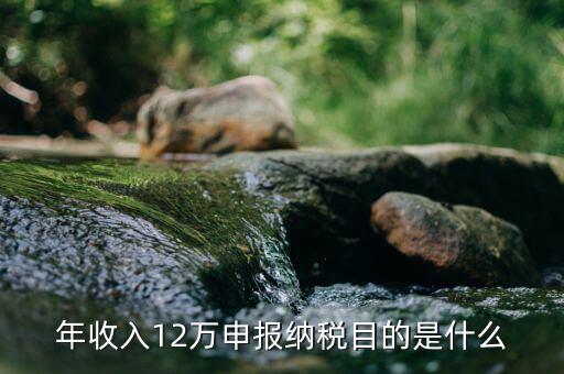 年收入12萬(wàn)申報(bào)納稅目的是什么