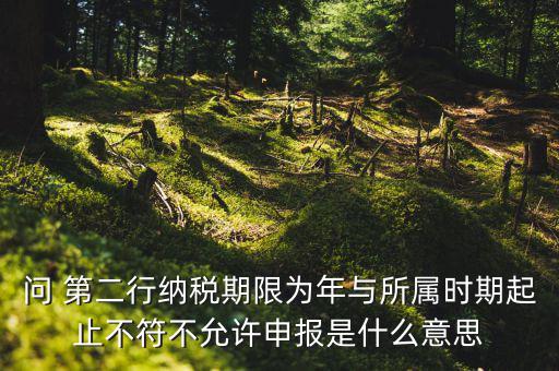 申報屬期不存在年度申報記錄什么意思，地稅當(dāng)前屬期不存在待申報稅種什么意思