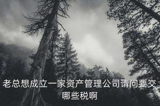 老總想成立一家資產(chǎn)管理公司請(qǐng)問(wèn)要交哪些稅啊