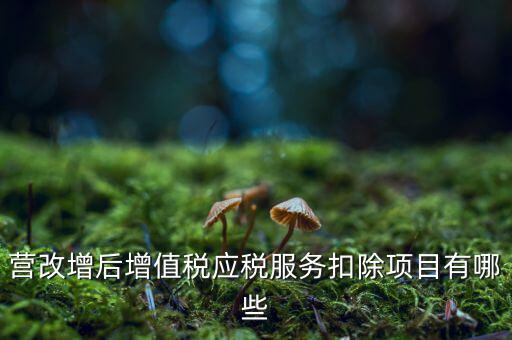 營改增后增值稅應(yīng)稅服務(wù)扣除項目有哪些