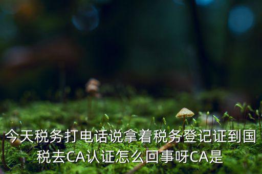 稅務(wù)局ca證書是什么，今天稅務(wù)打電話說拿著稅務(wù)登記證到國稅去CA認(rèn)證怎么回事呀CA是