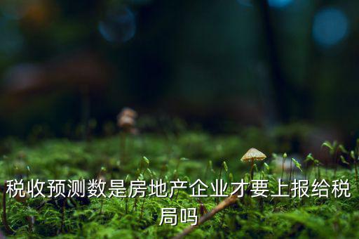 稅收預測數(shù)是房地產(chǎn)企業(yè)才要上報給稅局嗎