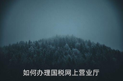 如何辦理國(guó)稅網(wǎng)上營(yíng)業(yè)廳