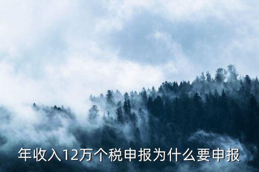 為什么12萬要申報(bào)表，每個(gè)月都已繳納為什么年收入超過12萬還需要再申報(bào)