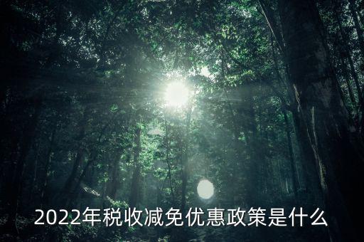 2022年稅收減免優(yōu)惠政策是什么