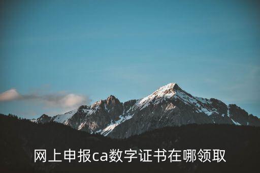 申報(bào)領(lǐng)取什么CA，財(cái)務(wù)報(bào)稅的ca通道是什么