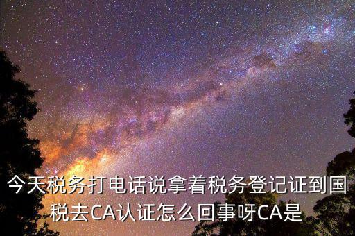 今天稅務打電話說拿著稅務登記證到國稅去CA認證怎么回事呀CA是