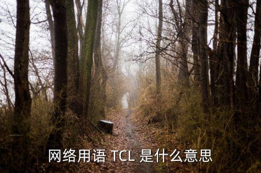 網絡用語 TCL 是什么意思