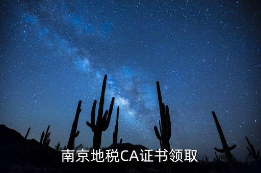 南京地稅CA證書領(lǐng)取