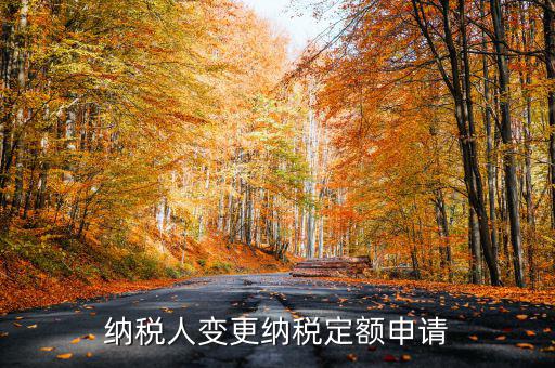 變更納稅定額什么意思，調(diào)整應(yīng)納稅所得額什么意思