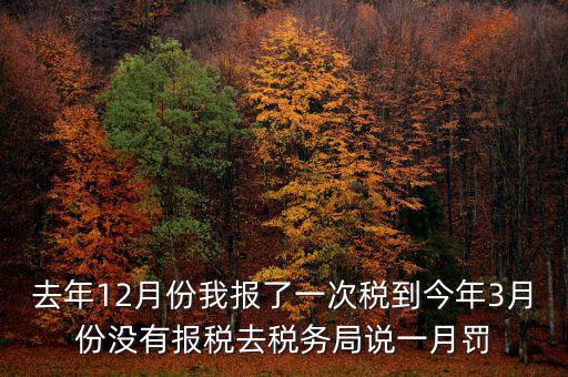 去年12月份我報(bào)了一次稅到今年3月份沒有報(bào)稅去稅務(wù)局說一月罰