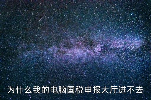 為什么我的電腦國稅申報大廳進(jìn)不去