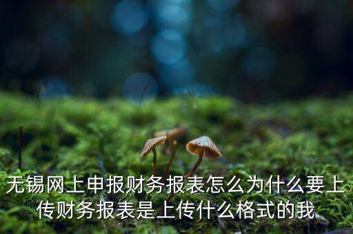 為什么要上傳報表，無錫網(wǎng)上申報財務(wù)報表怎么為什么要上傳財務(wù)報表是上傳什么格式