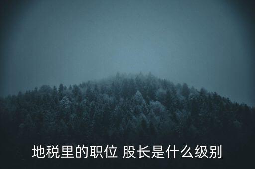 地稅里的職位 股長(zhǎng)是什么級(jí)別