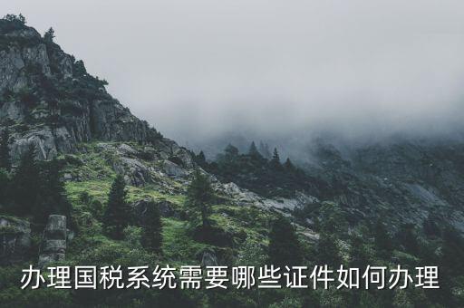 辦理國稅系統(tǒng)需要哪些證件如何辦理