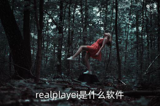 realplayei是什么軟件