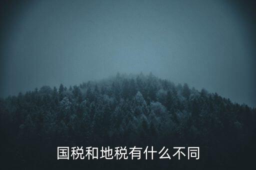 國(guó)稅和地稅有什么不同