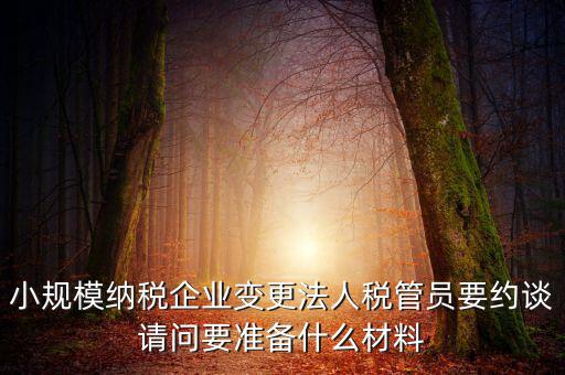 小規(guī)模納稅企業(yè)變更法人稅管員要約談?wù)垎栆獪?zhǔn)備什么材料