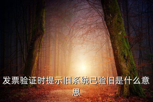 發(fā)票的驗(yàn)舊時(shí)間是什么意思，發(fā)票驗(yàn)證時(shí)提示舊系統(tǒng)已驗(yàn)舊是什么意思