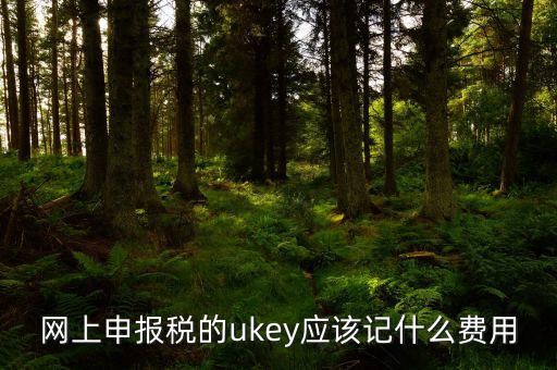 網上申報稅的ukey應該記什么費用