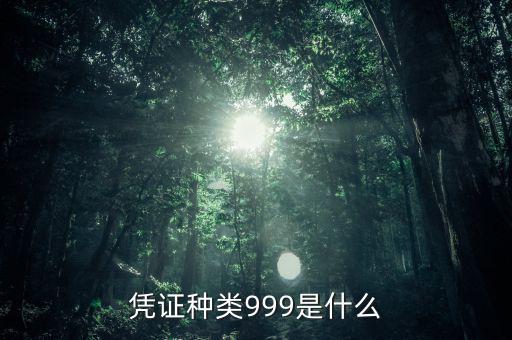 憑證種類999是什么