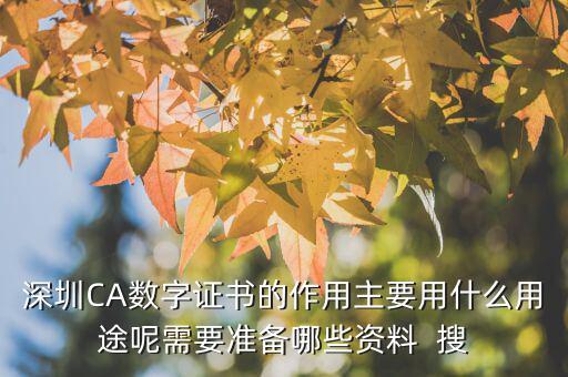 深圳CA數(shù)字證書的作用主要用什么用途呢需要準備哪些資料  搜