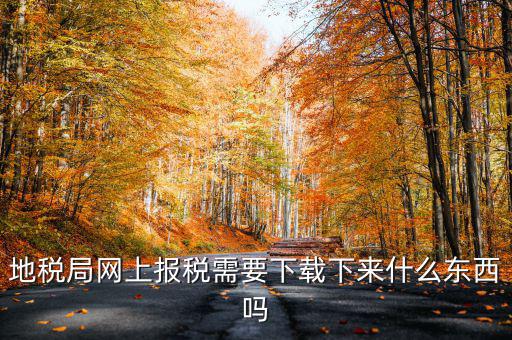 辦地稅都需要什么軟件，地稅網(wǎng)上申報軟件