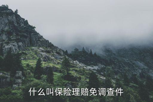 什么叫保險理賠免調(diào)查件