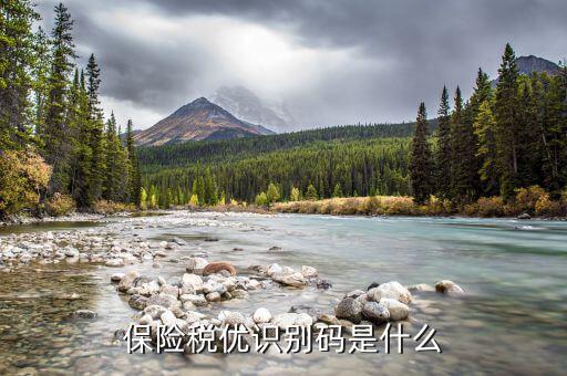 保險(xiǎn)稅優(yōu)識(shí)別碼是什么