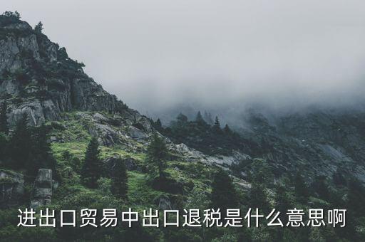 什么是增值稅出口退稅，出口退稅指的是什么