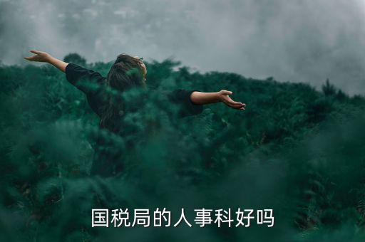 國稅人事科做什么，縣國稅局的人事歸哪里管基層分局的級(jí)別