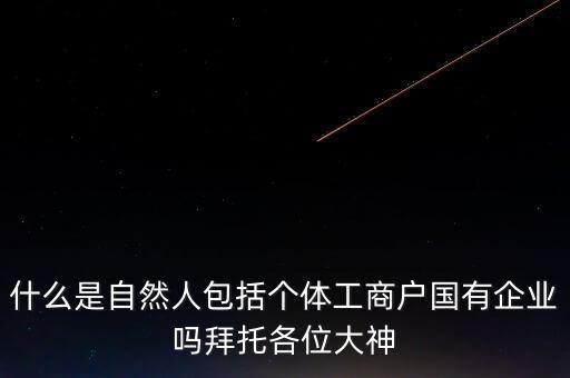 稅務上的自然人指的是什么，申請人為自然人的是什么意思