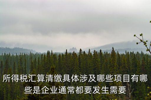 所得稅匯算清繳具體涉及哪些項目有哪些是企業(yè)通常都要發(fā)生需要