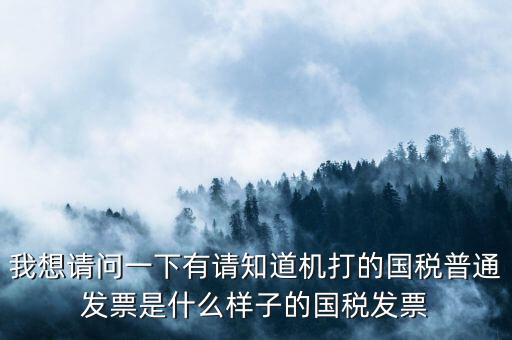 我想請問一下有請知道機打的國稅普通發(fā)票是什么樣子的國稅發(fā)票