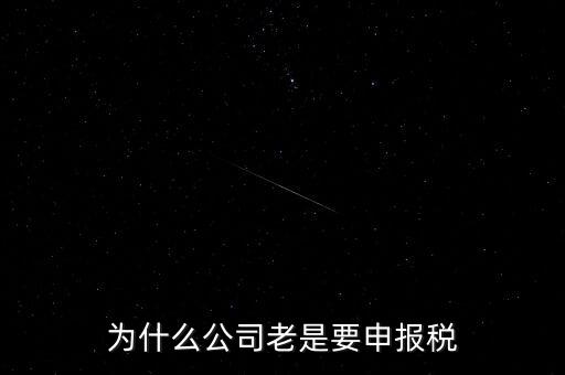 為什么公司老是要申報稅