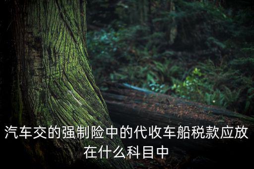 汽車交的強(qiáng)制險中的代收車船稅款應(yīng)放在什么科目中