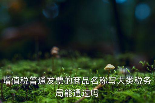 增值稅普通發(fā)票的商品名稱寫大類稅務局能通過嗎