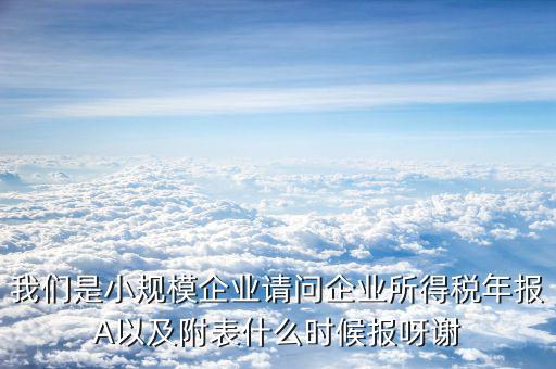 我們是小規(guī)模企業(yè)請(qǐng)問(wèn)企業(yè)所得稅年報(bào)A以及附表什么時(shí)候報(bào)呀謝